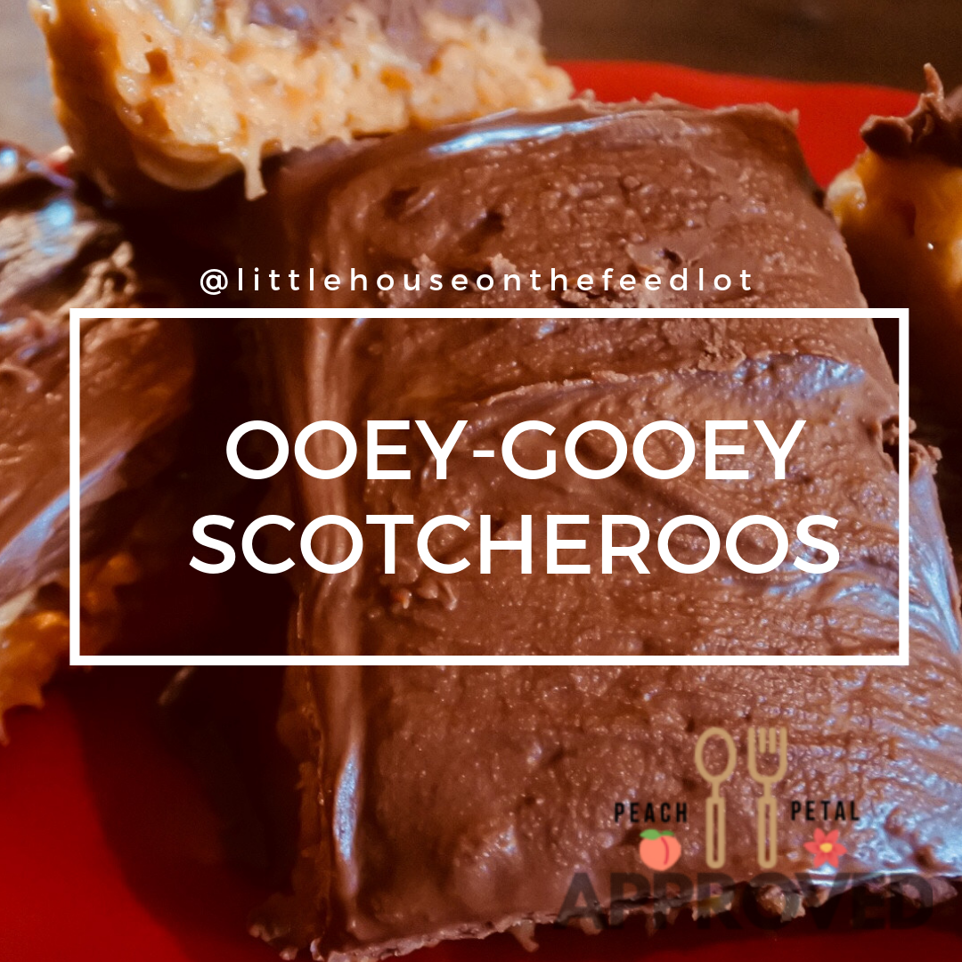 Ooey-Gooey Scotcheroos