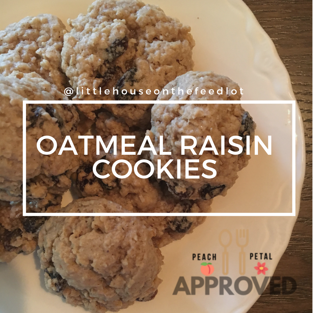 Oatmeal Raisin Cookies