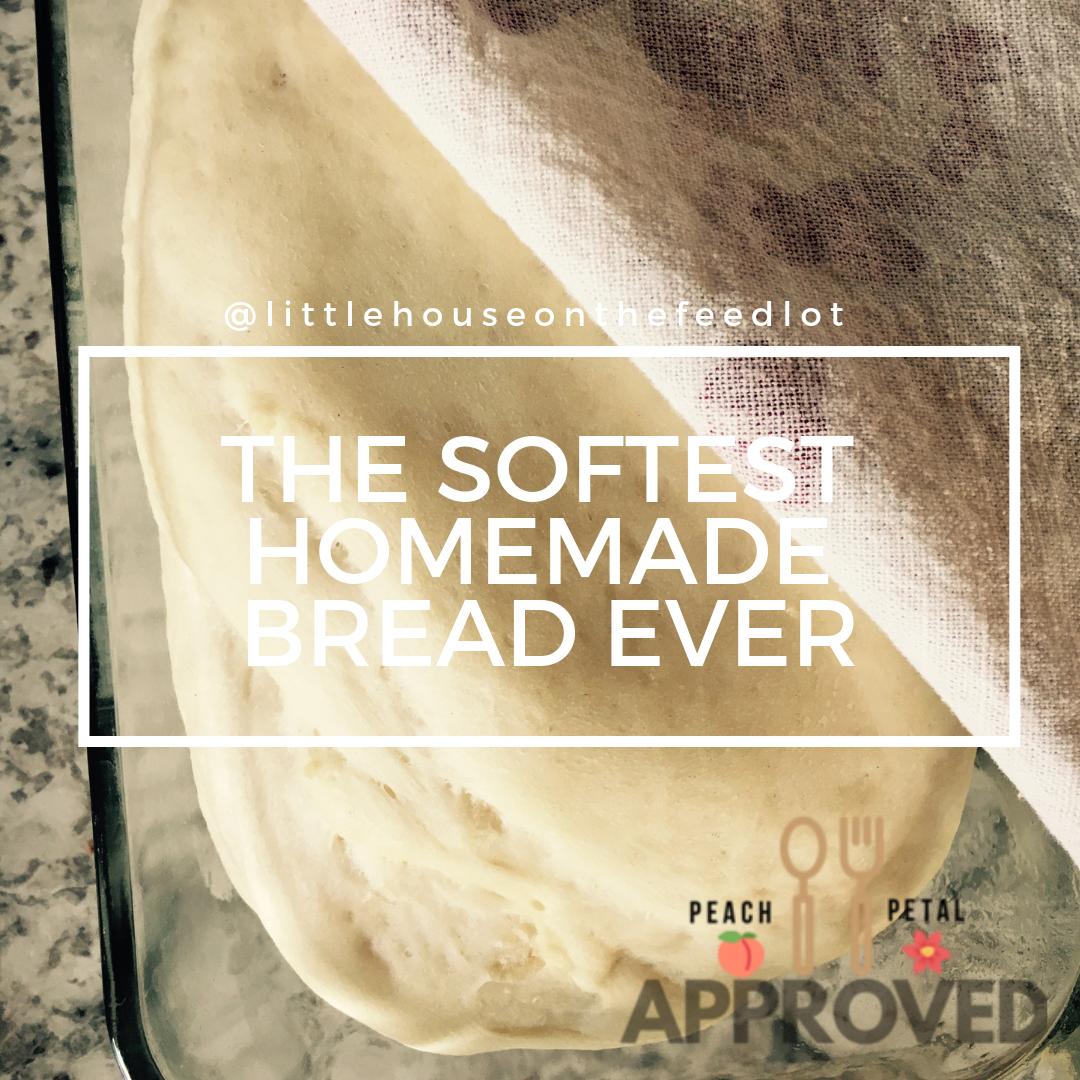 The Best Homemade Bread