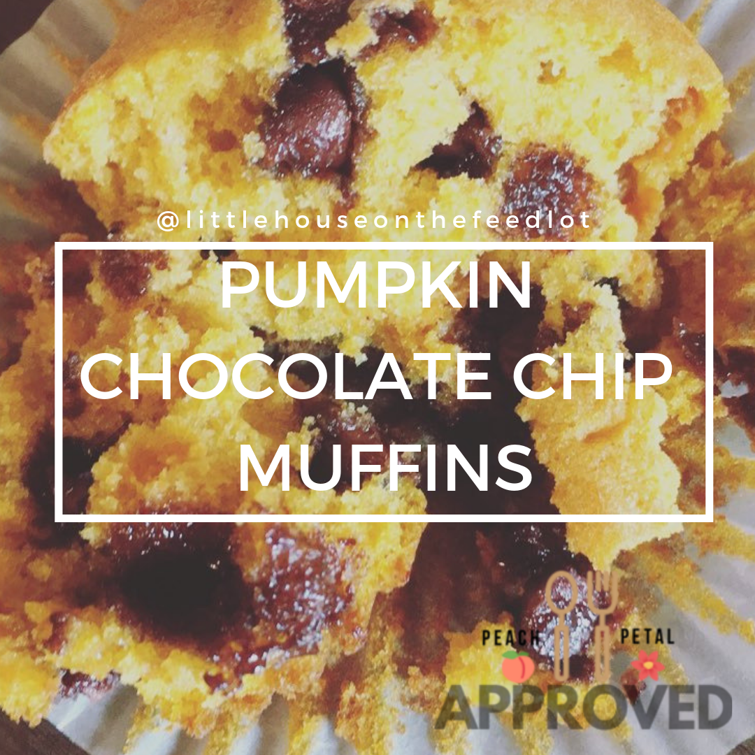 Pumpkin Chocolate Chip Muffins