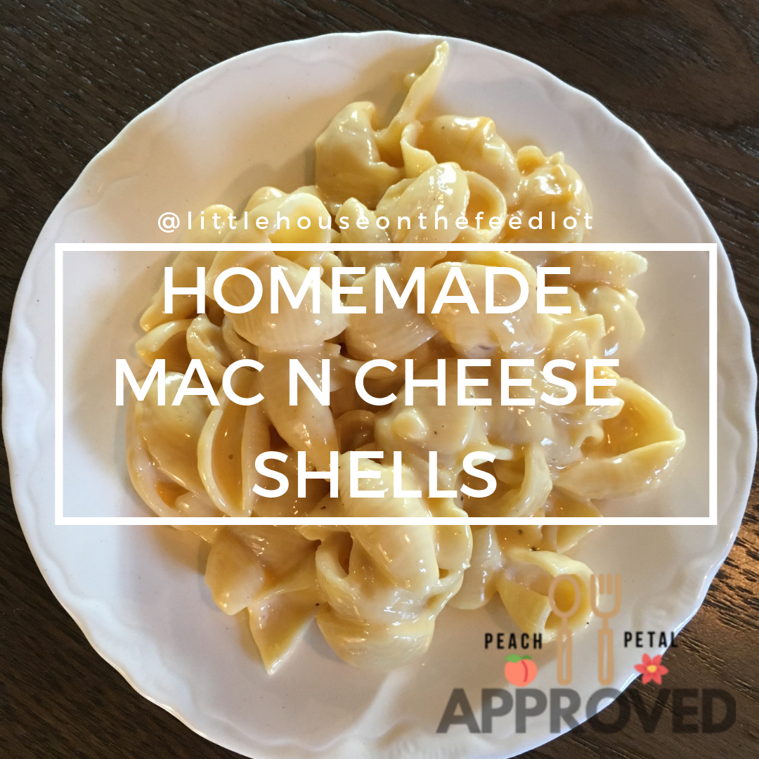 Homemade Mac N’ Cheese Shells