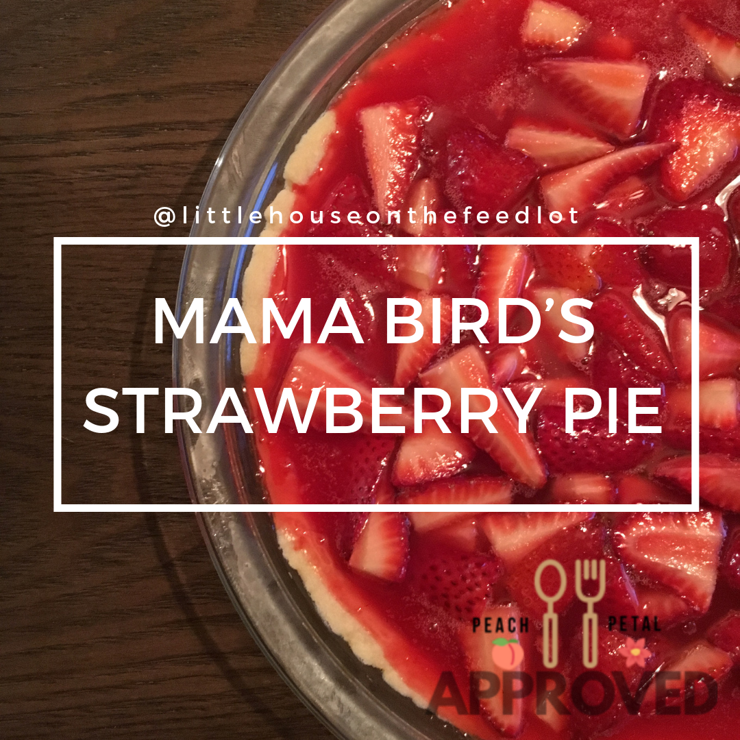 Mama Bird’s Strawberry Pie