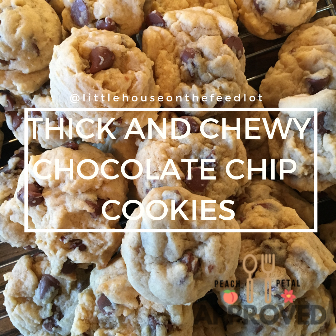 Thick and Chewy Chocolate Chip Cookies